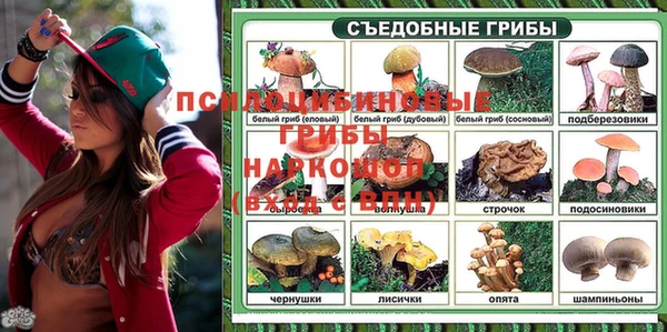 мдпв Волосово