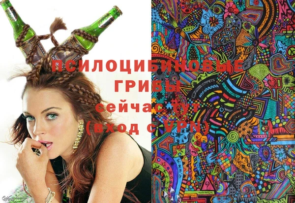 мдпв Волосово
