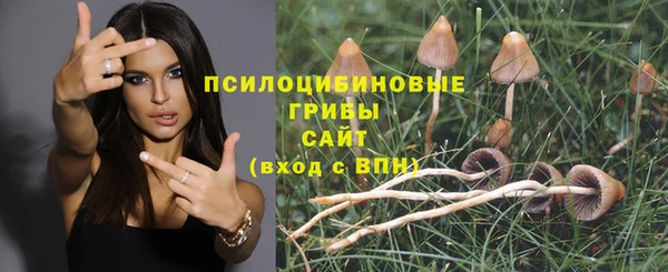 MDMA Premium VHQ Волоколамск