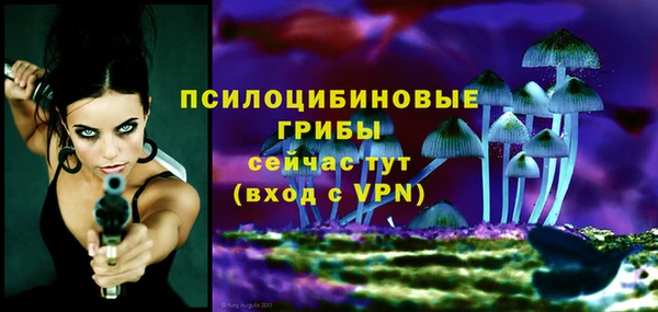 бошки Володарск
