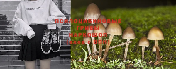 бошки Володарск